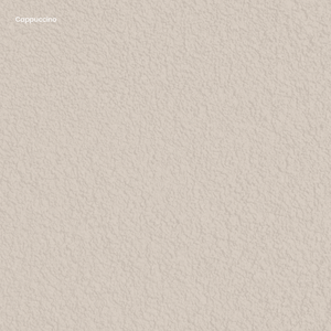 Breathecoat Textured Cement-Based Paint Cappuccino