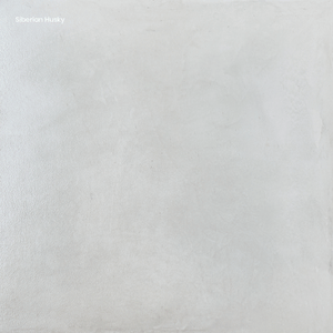 Polished Plaster Co Polished Floor Coat Kit Siberian Husky