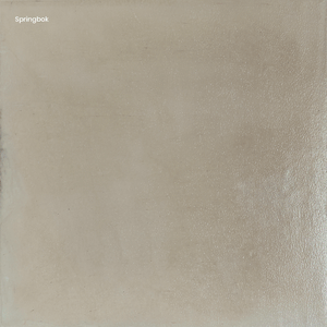 Polished Plaster Co Polished Floor Coat Kit Springbok
